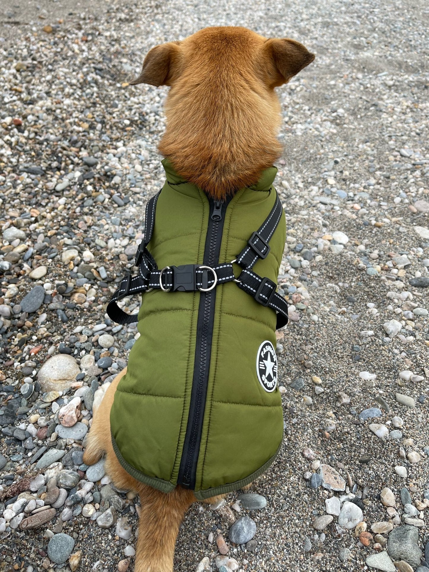Hund 3-in-1 Jacke