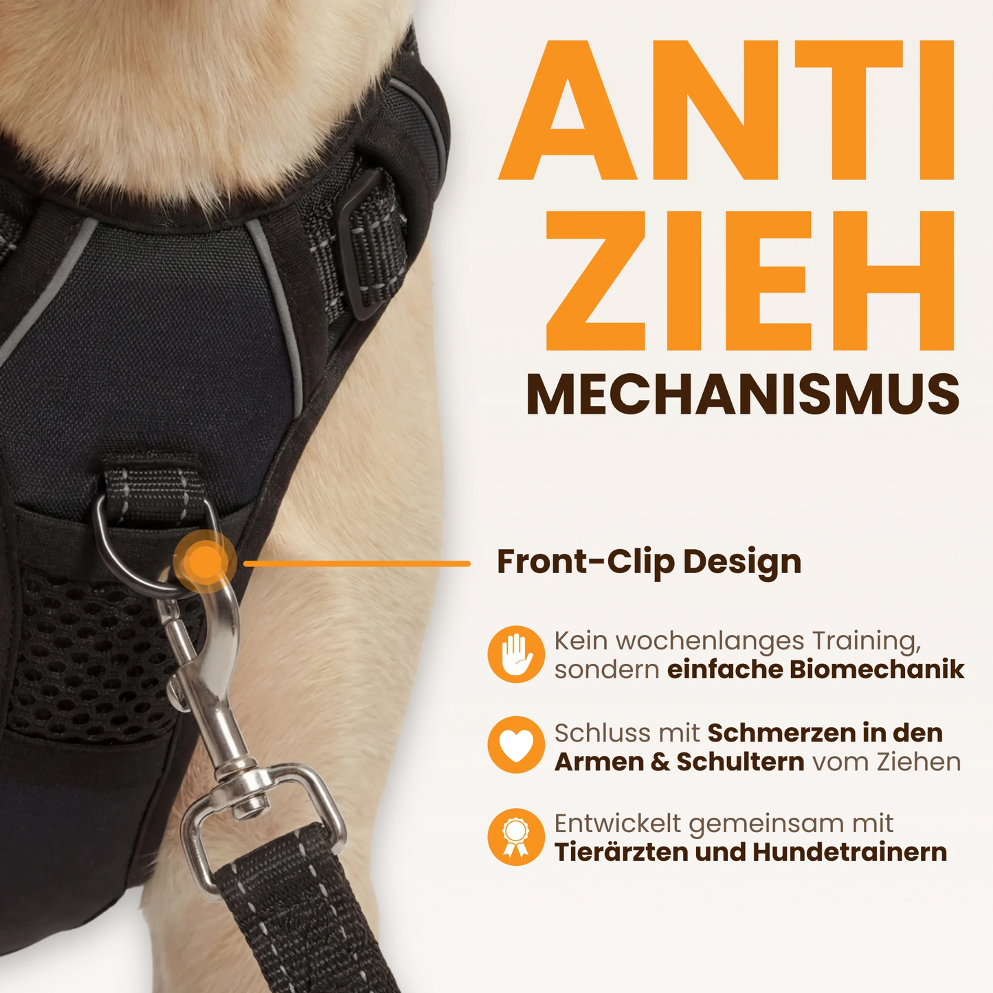 PawBalance™ – Ergonomisches Hundegeschirr für entspannte Spaziergänge