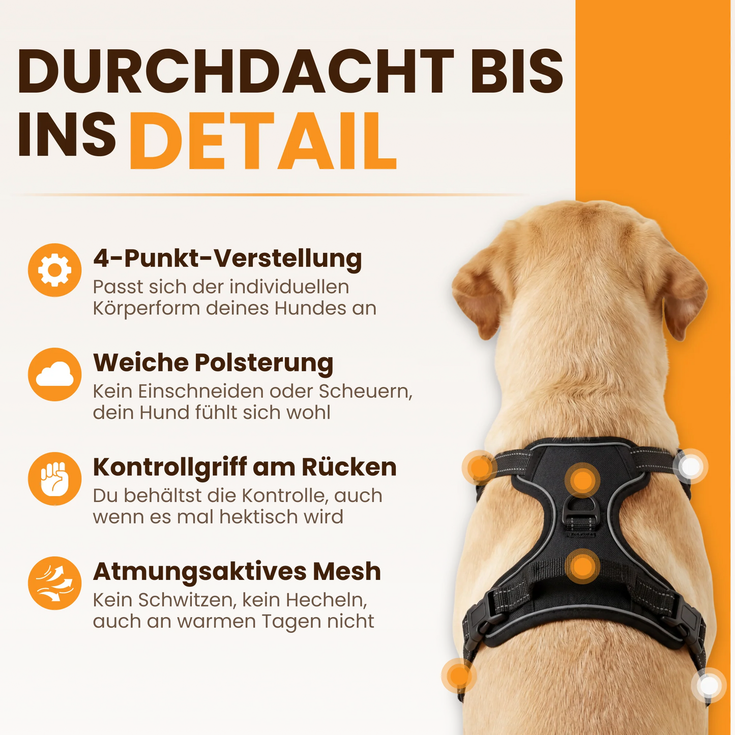 PawBalance™ – Ergonomisches Hundegeschirr für entspannte Spaziergänge