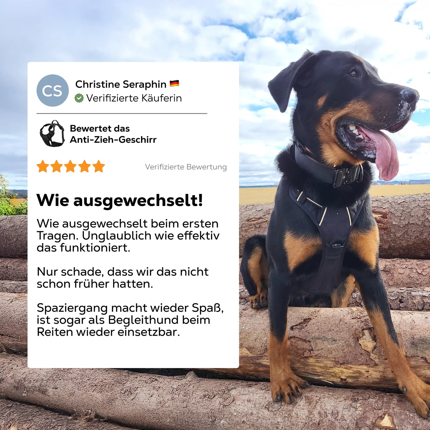 PawBalance™ – Ergonomisches Hundegeschirr für entspannte Spaziergänge