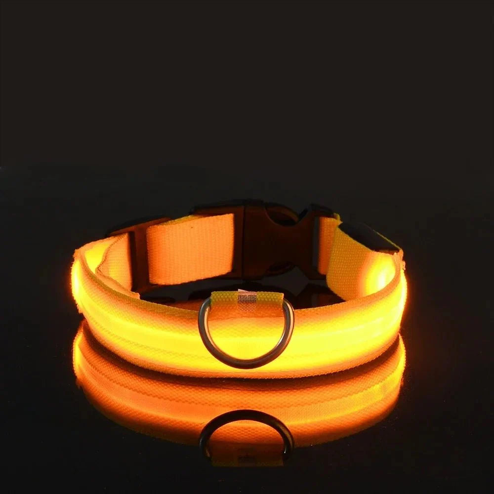 GlowBuddy™ | LED-Halsband für Hunde mit maximaler Sichtbarkeit