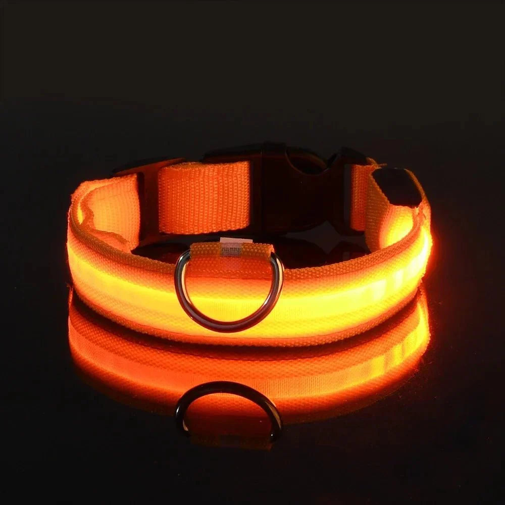 GlowBuddy™ | LED-Halsband für Hunde mit maximaler Sichtbarkeit