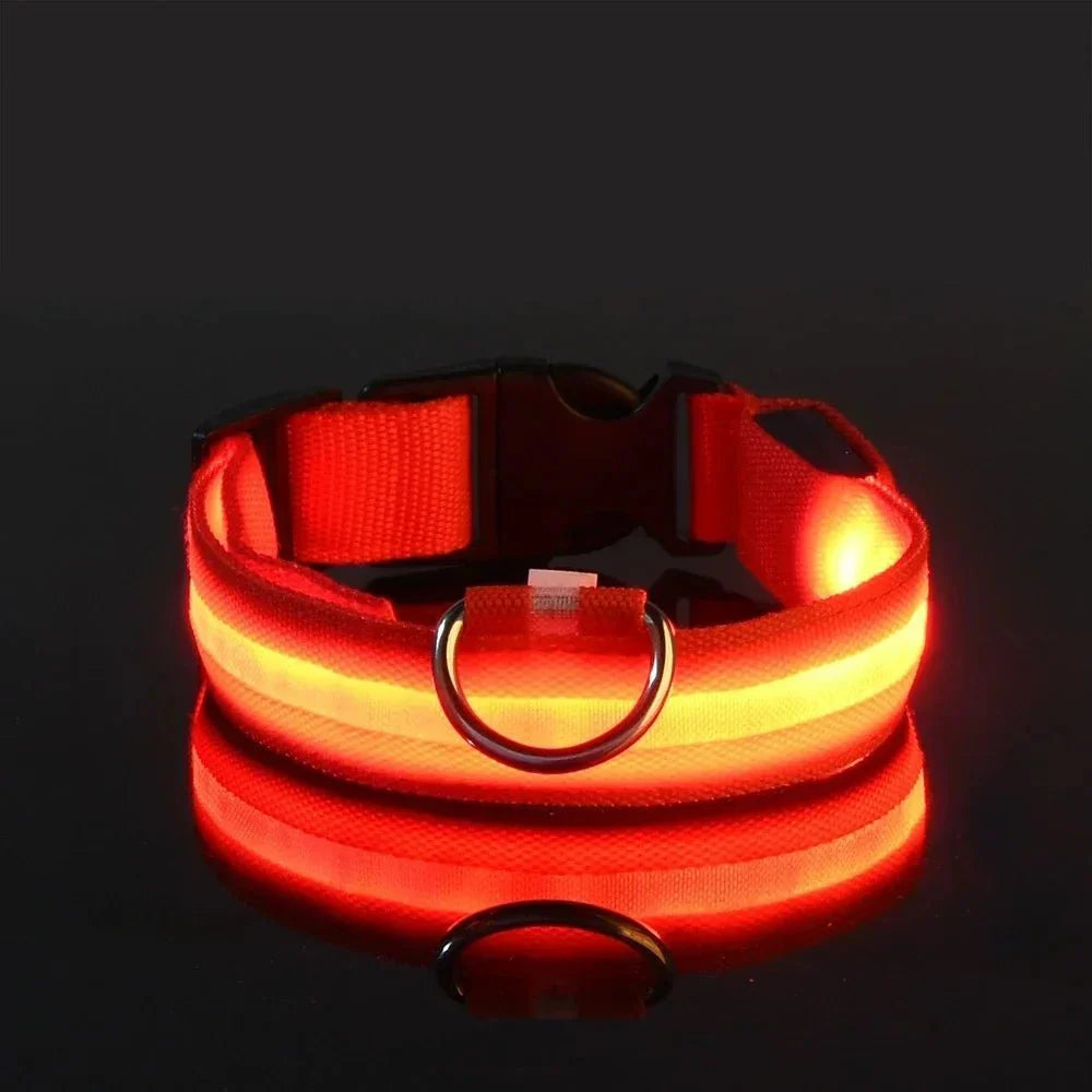 GlowBuddy™ | LED-Halsband für Hunde mit maximaler Sichtbarkeit