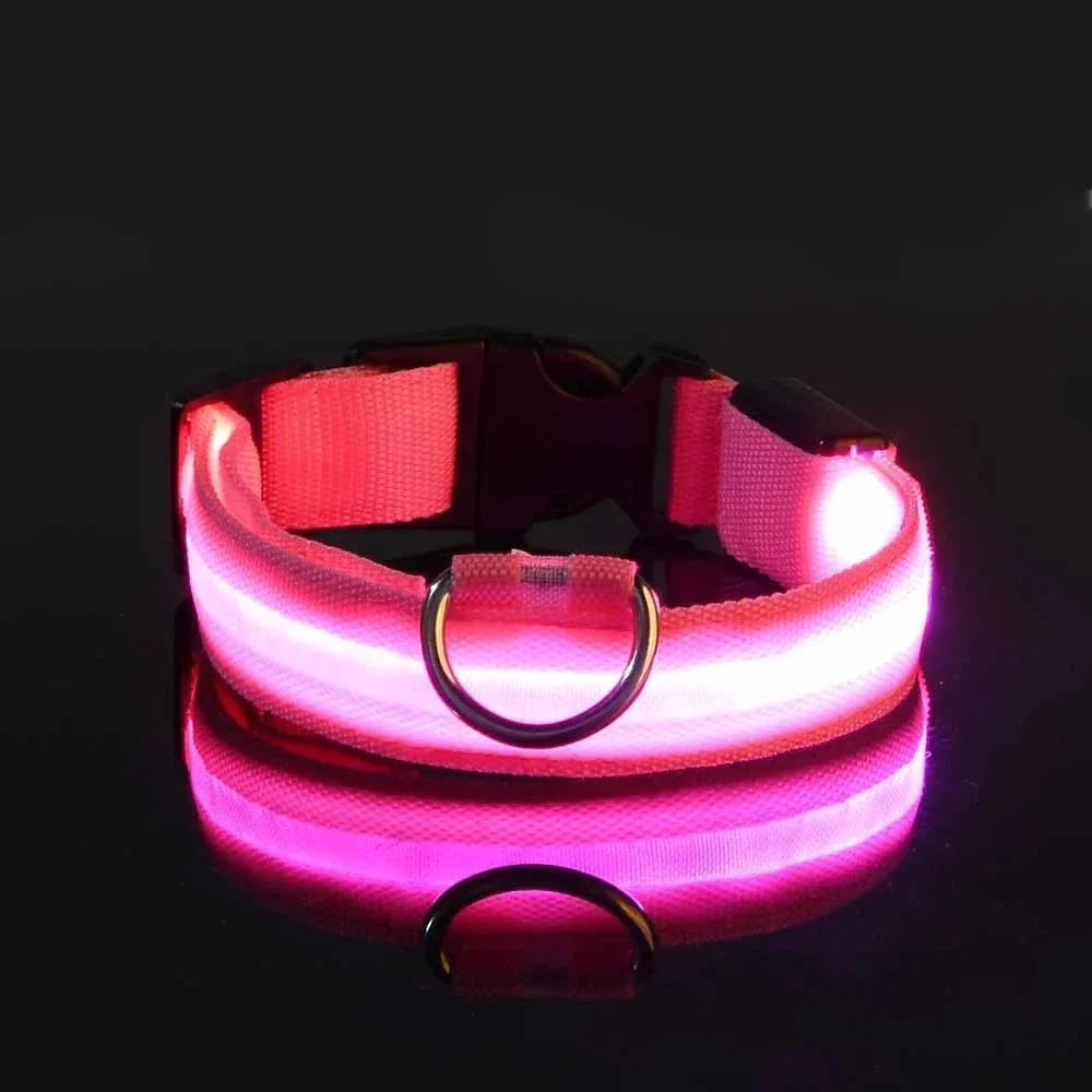 GlowBuddy™ | LED-Halsband für Hunde mit maximaler Sichtbarkeit