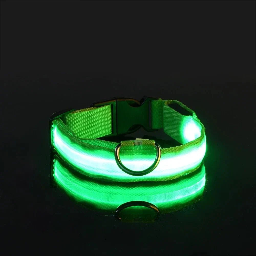 GlowBuddy™ | LED-Halsband für Hunde mit maximaler Sichtbarkeit