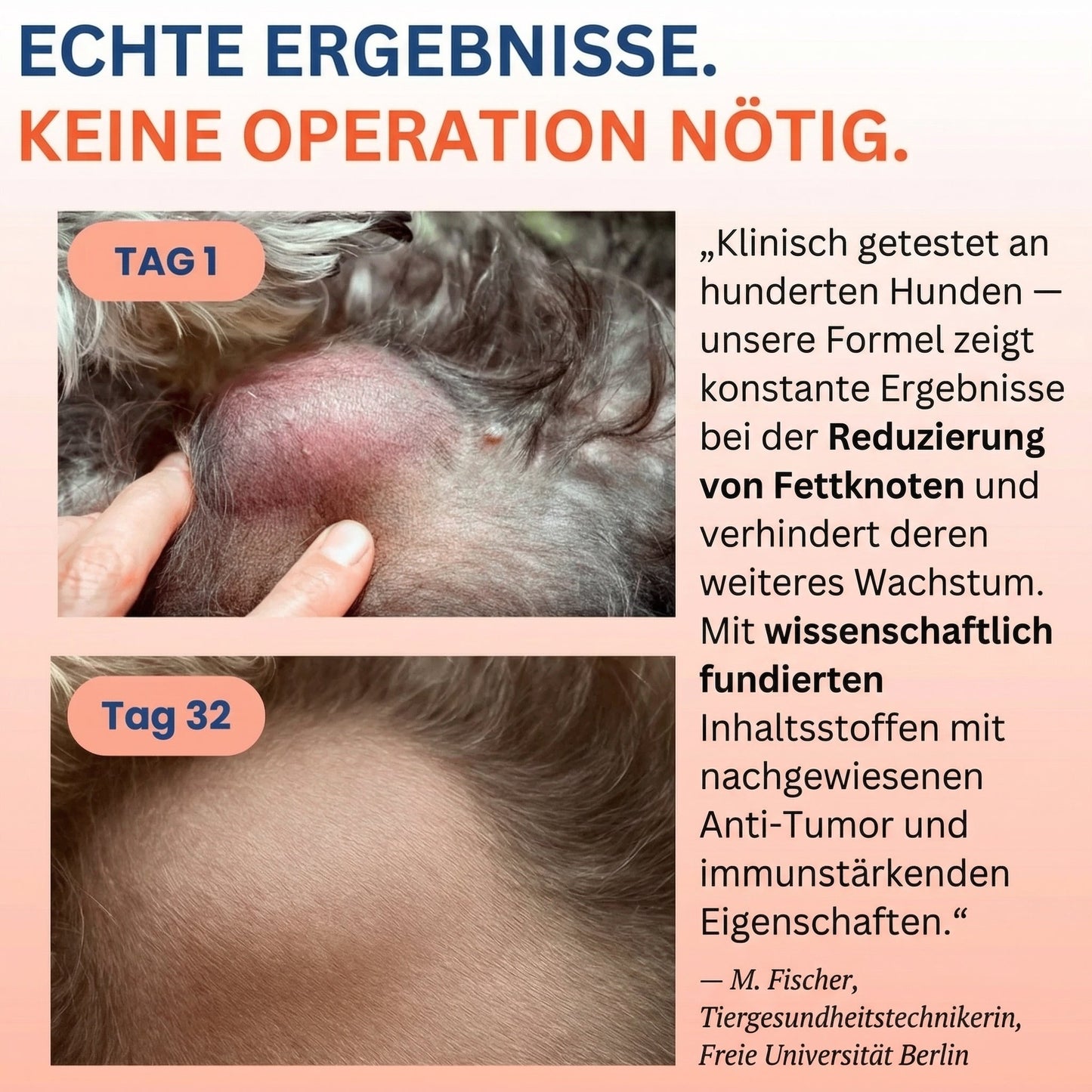 1+1 GRATIS | Fellkraft® Turkey Tail Heilpilz + Probiotika