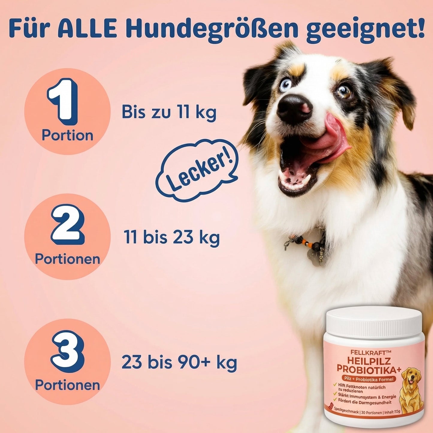 1+1 GRATIS | Fellkraft® Turkey Tail Heilpilz + Probiotika