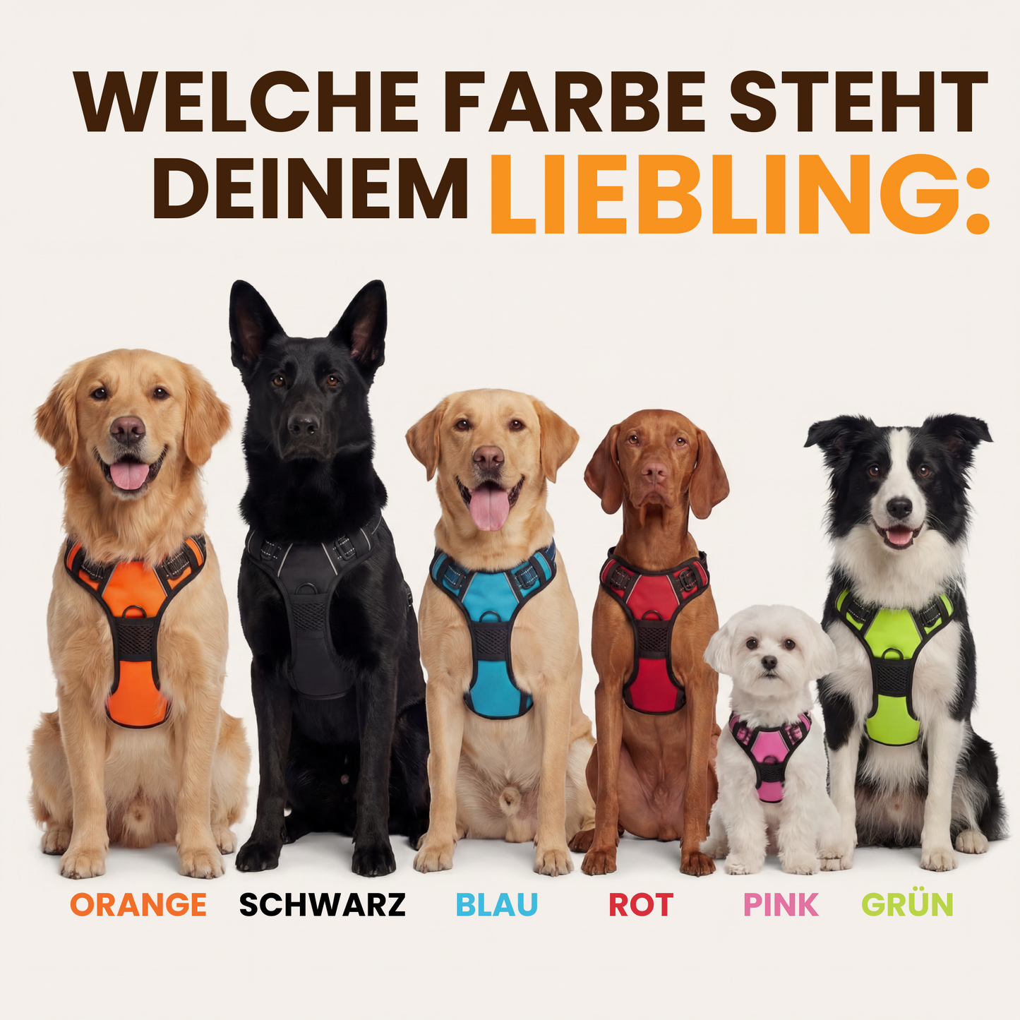 PawBalance™ – Ergonomisches Hundegeschirr für entspannte Spaziergänge