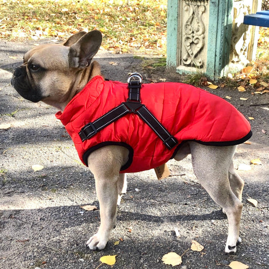 Hund 3-in-1 Jacke