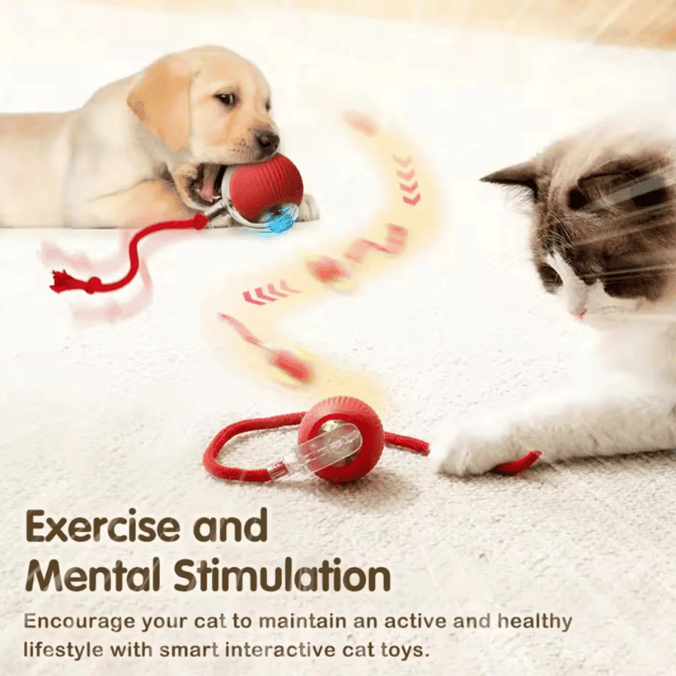 PawSpin™ | Intelligenter interaktiver Rollball für Katzen &amp; Hunde