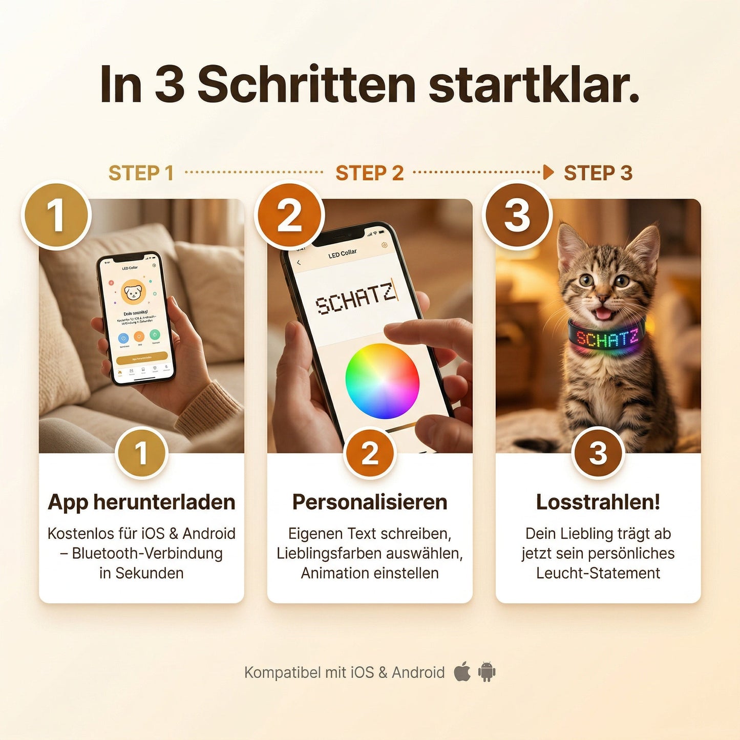 PetFlare LED-Halsband für Hunde – mit Namen & App-Steuerung