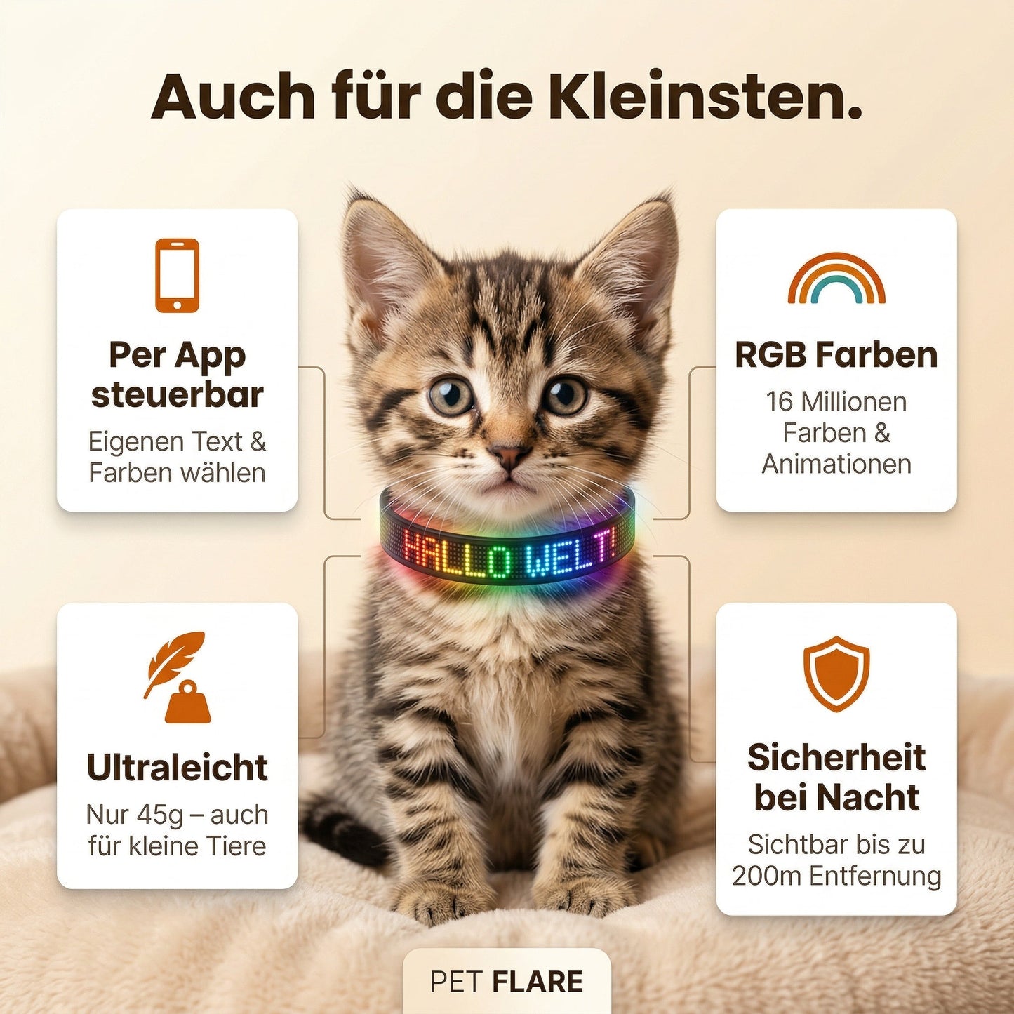 PetFlare LED-Halsband für Hunde – mit Namen & App-Steuerung