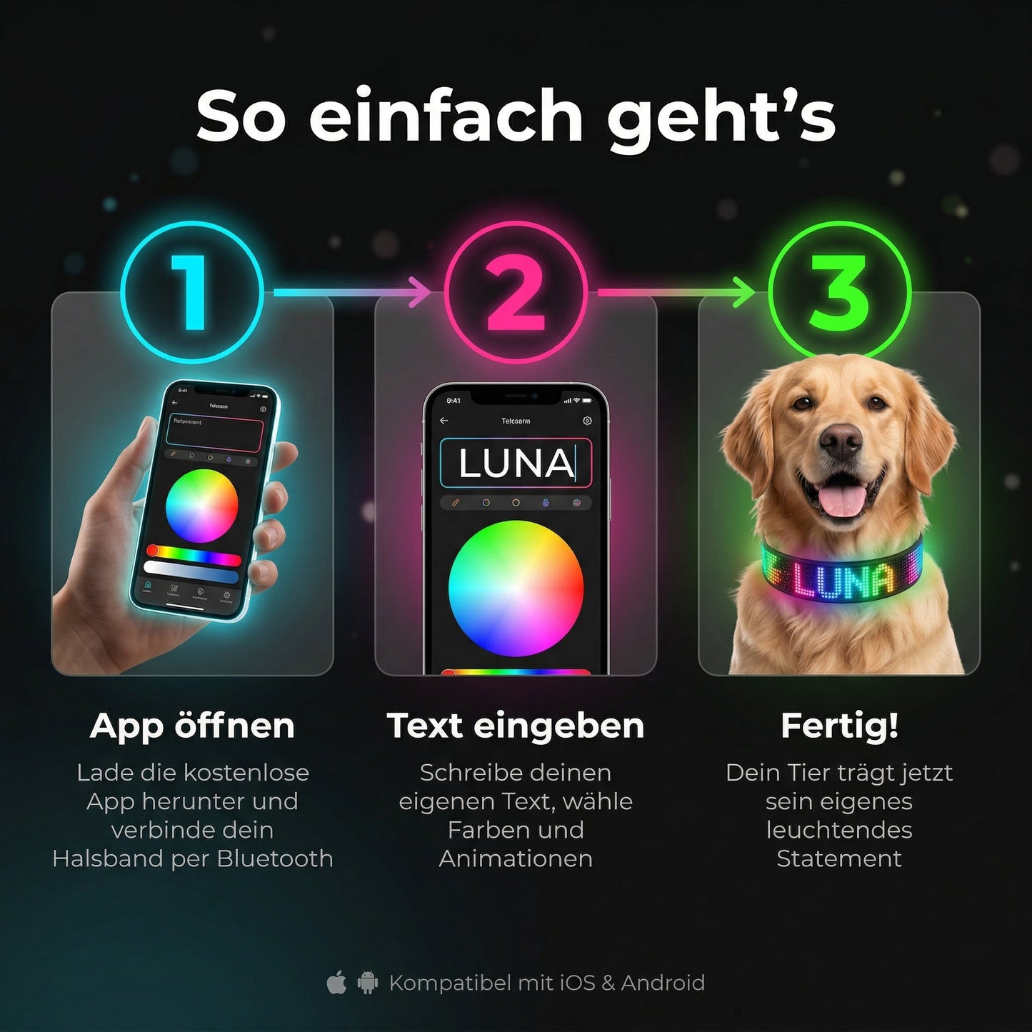 PetFlare LED-Halsband für Hunde – mit Namen & App-Steuerung