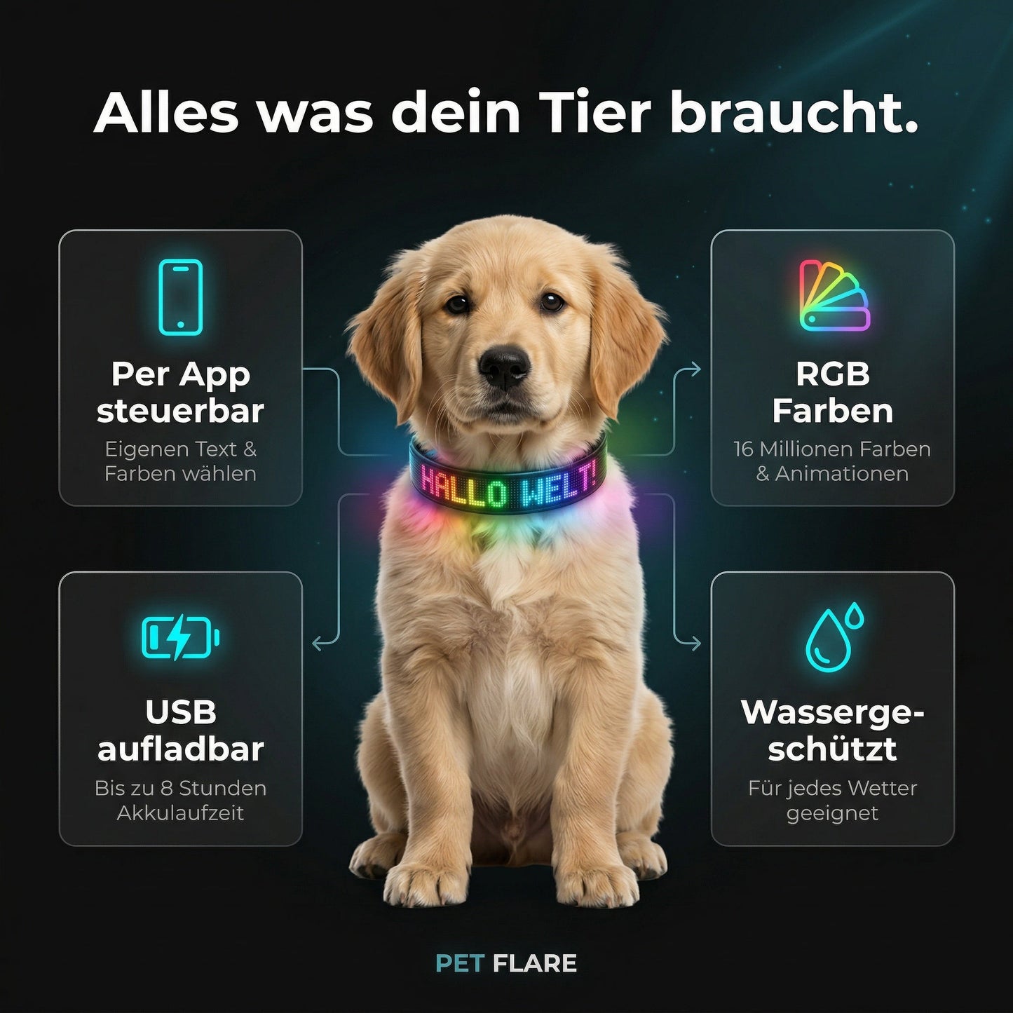 PetFlare LED-Halsband für Hunde – mit Namen & App-Steuerung